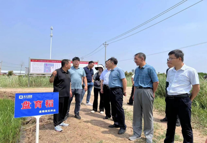 下載.png 下載.png